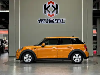MINI MINI 2015