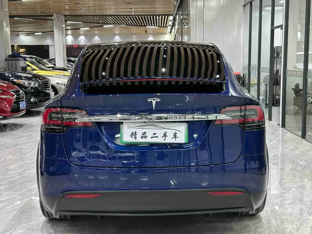 Tesla Model X 2019 — фото 5