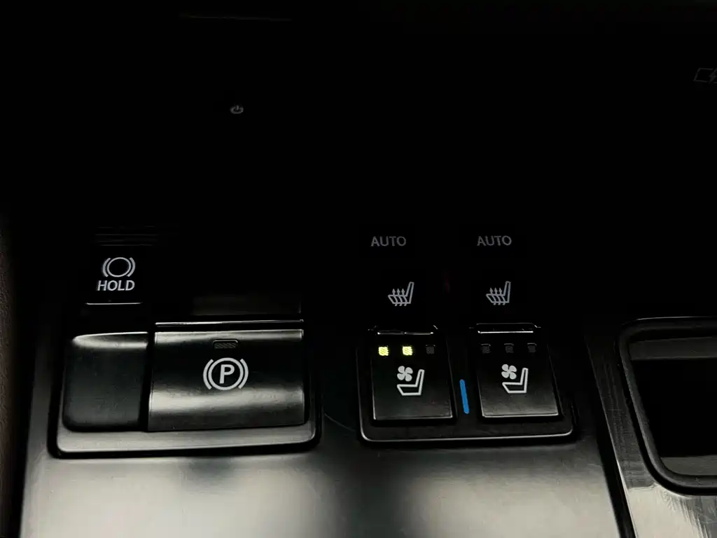 Lexus RX 2020 — фото 25