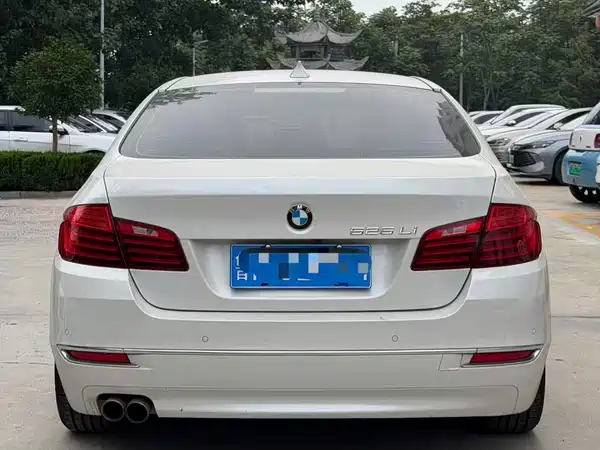 BMW 5 Series 2014