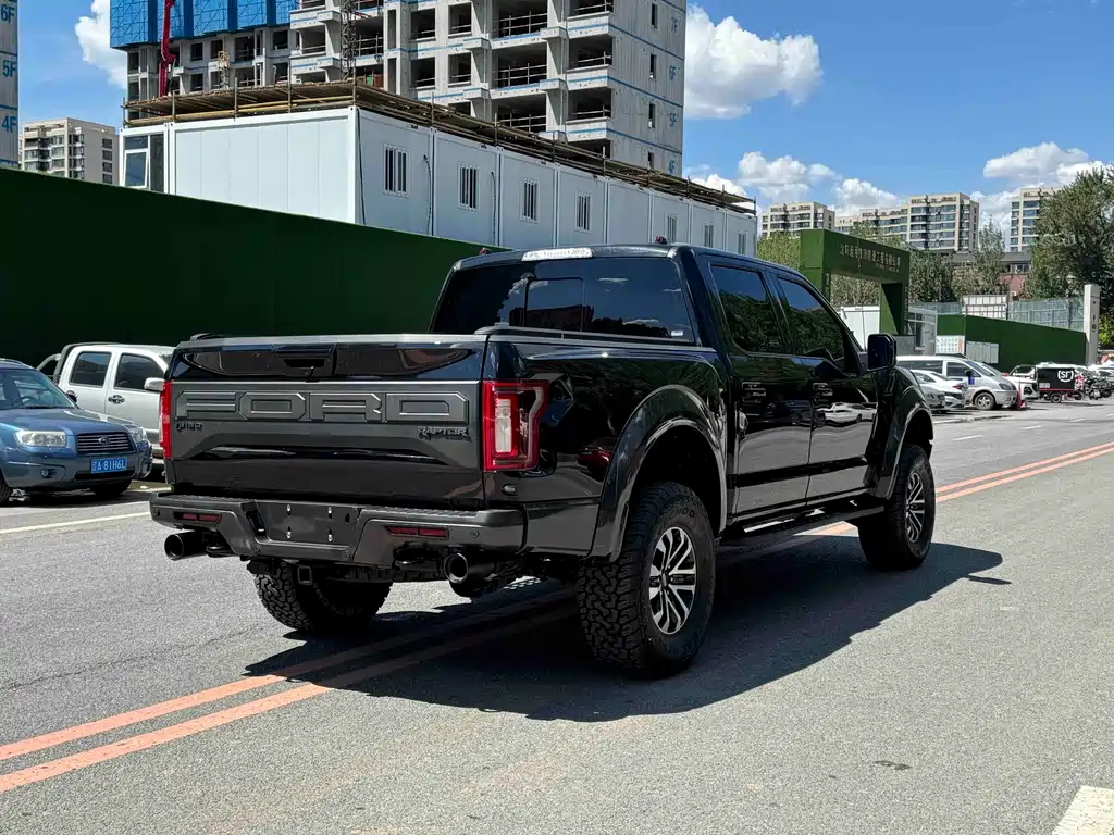 Ford F-150 Raptor 2019 — фото 20