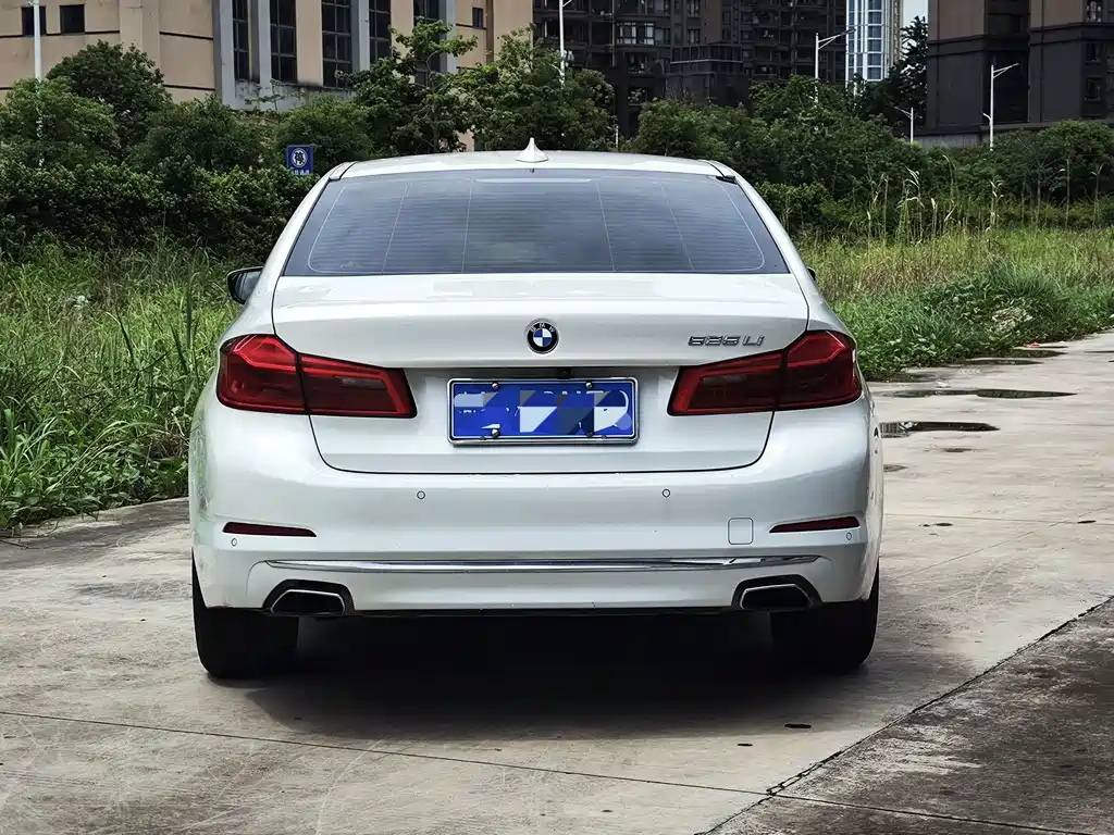BMW 5 Series 2019