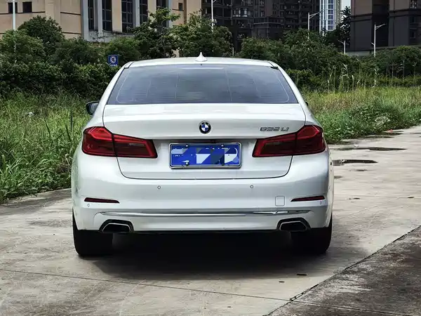 BMW 5 Series 2019