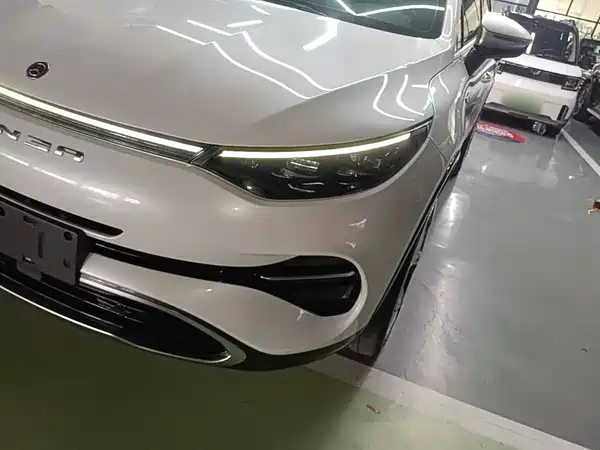 Denza X 2020