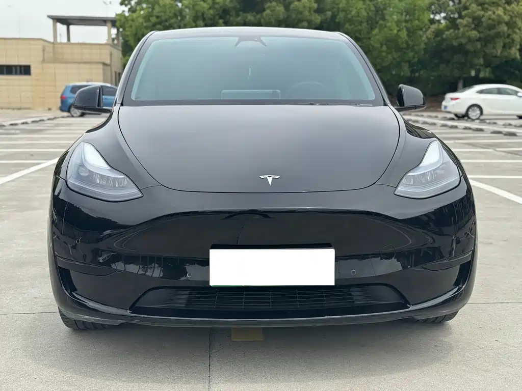 Tesla Model Y 2023 — фото 2