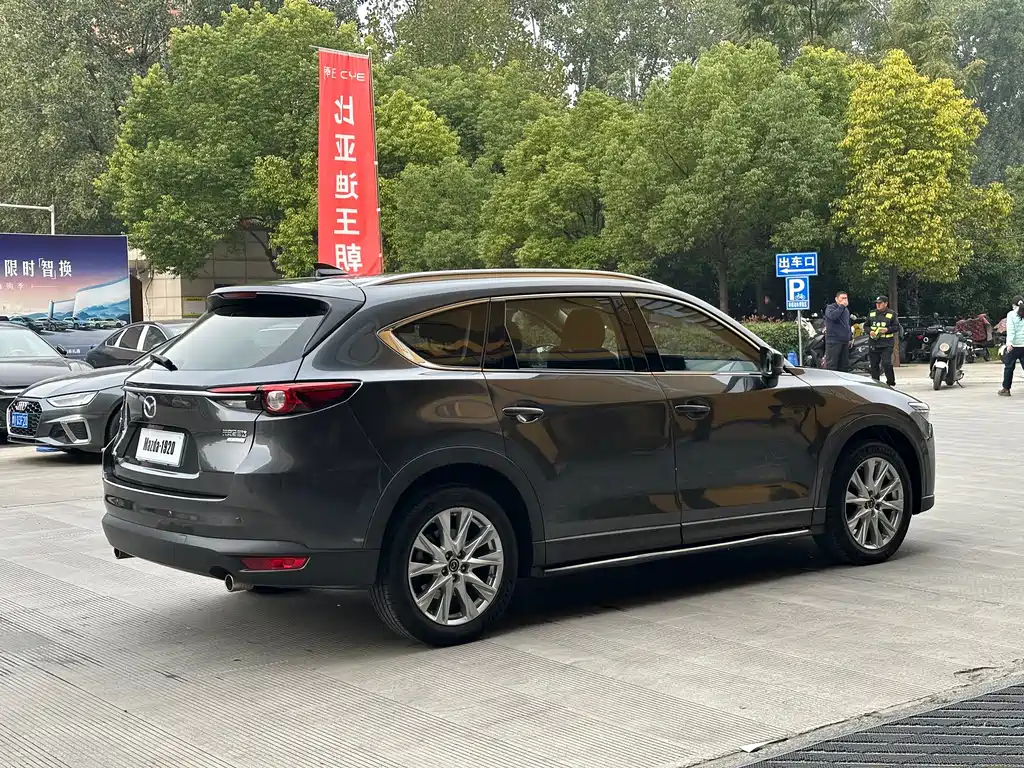 Mazda CX-8 2019 — фото 14