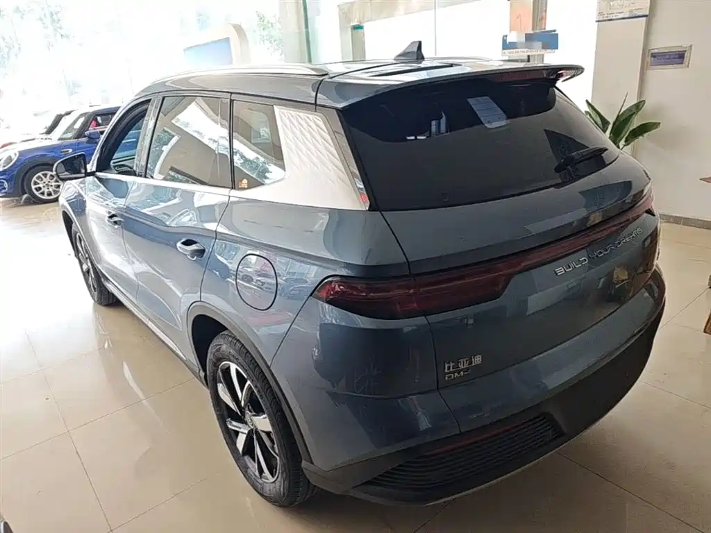 BYD Pro New Energy 2024 — фото 5