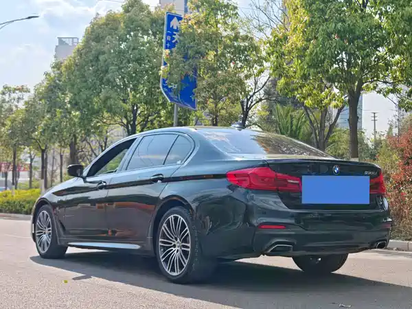 BMW 5 Series 2019