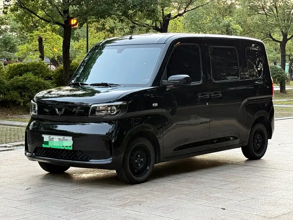 Wuling Zhiguang EV 2025