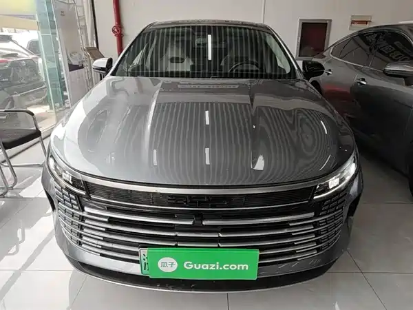 BYD Destroyer 05 2024