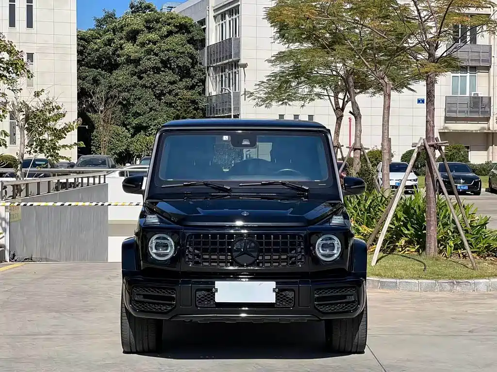 Mercedes-Benz G-Class 2019 — фото 2