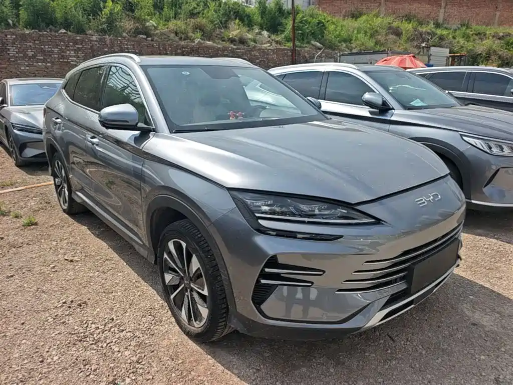 BYD PLUS New Energy 2024 — фото 4
