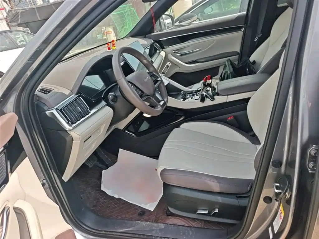 BYD PLUS New Energy 2024 — фото 15