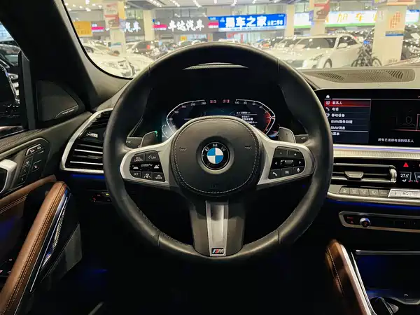 BMW X6 2022