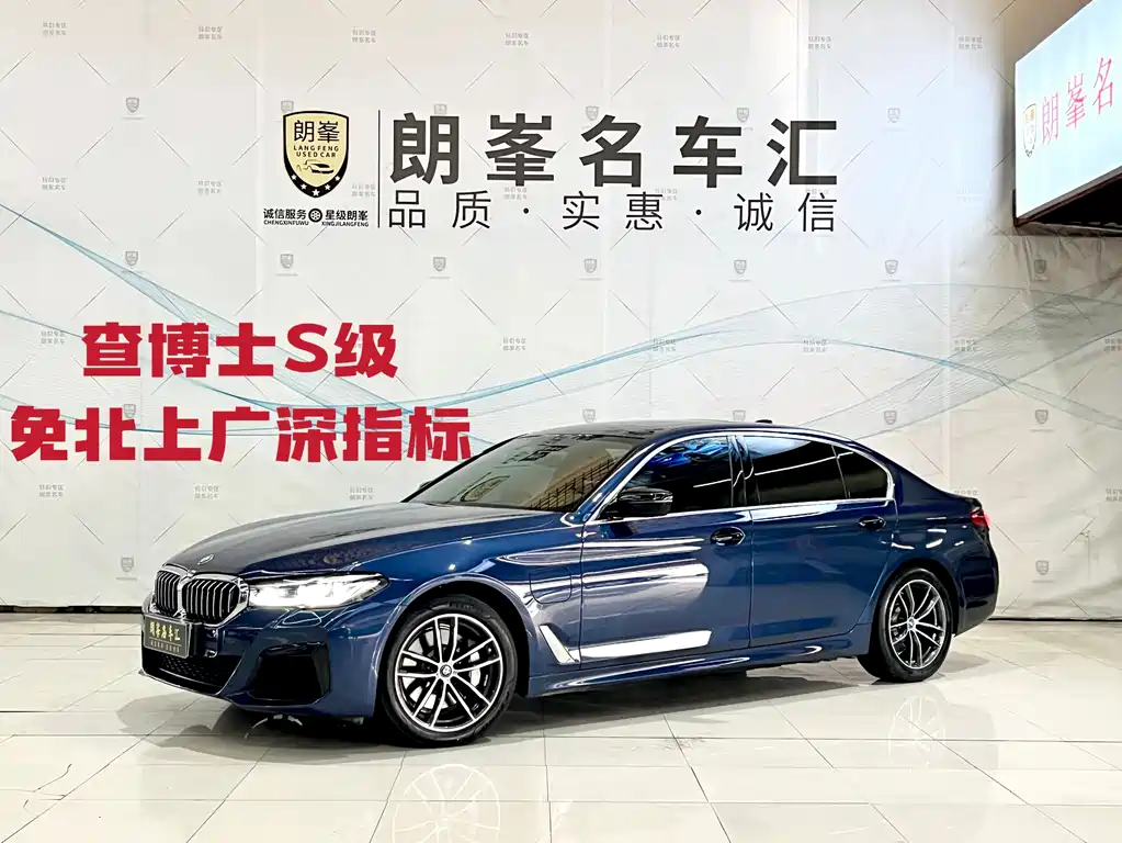 BMW 5 Series New Energy 2022