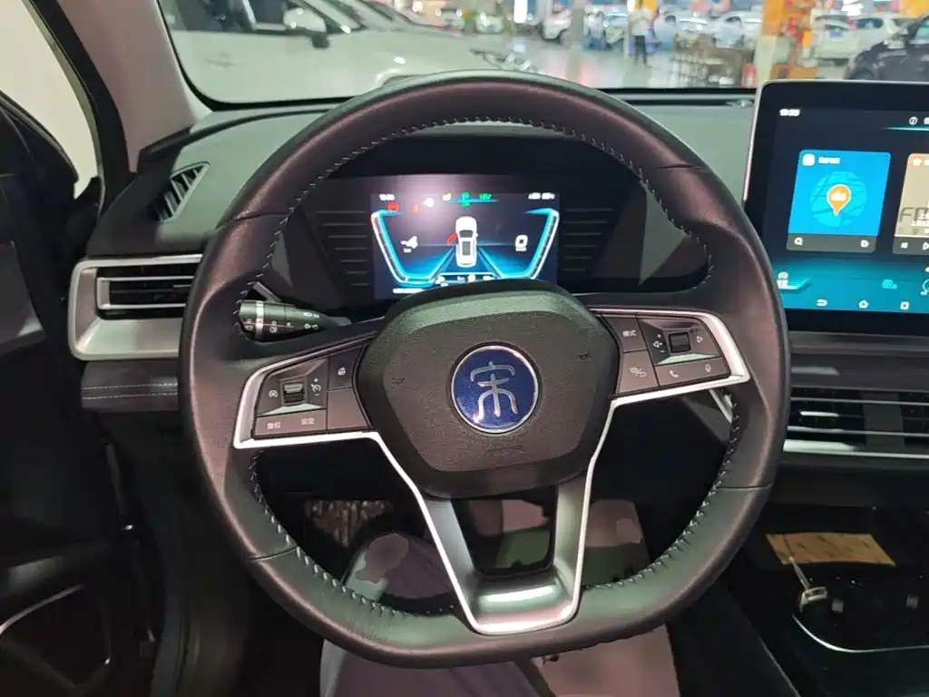 BYD Pro New Energy 2020 — фото 11