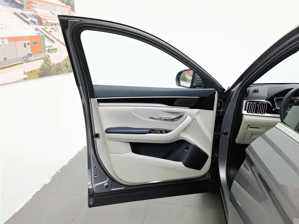 BYD PLUS New Energy 2023 — фото 8
