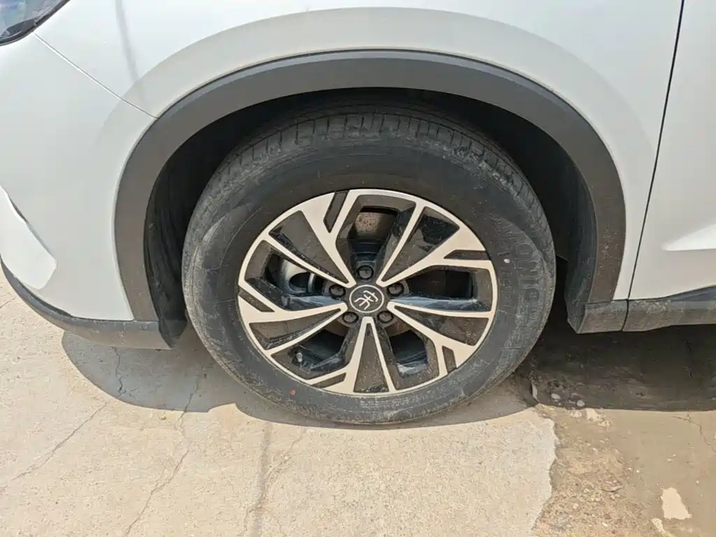 BYD Pro New Energy 2025 — фото 23