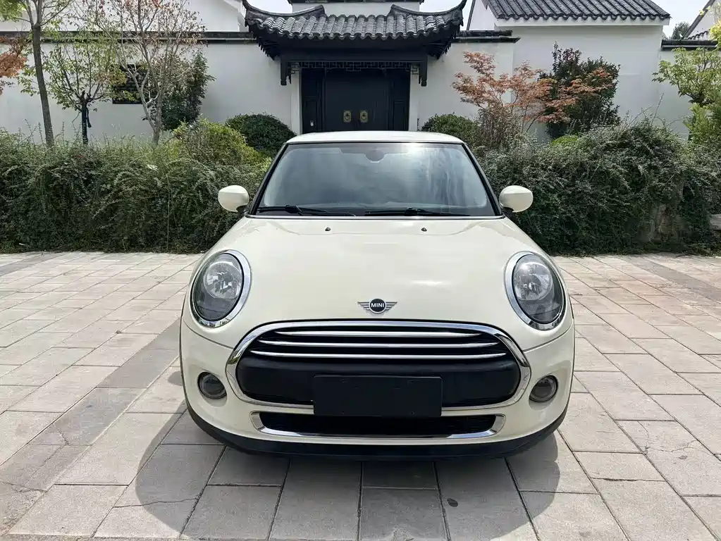 MINI MINI 2019