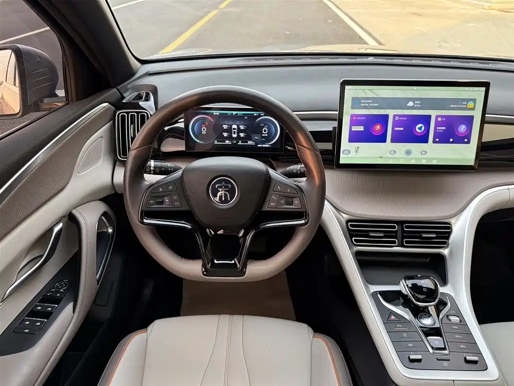 BYD Pro New Energy 2024 — фото 13