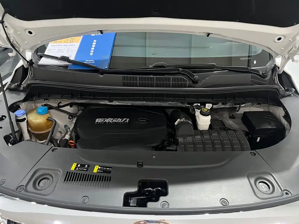 GAC Trumpchi M8 2021 — фото 19
