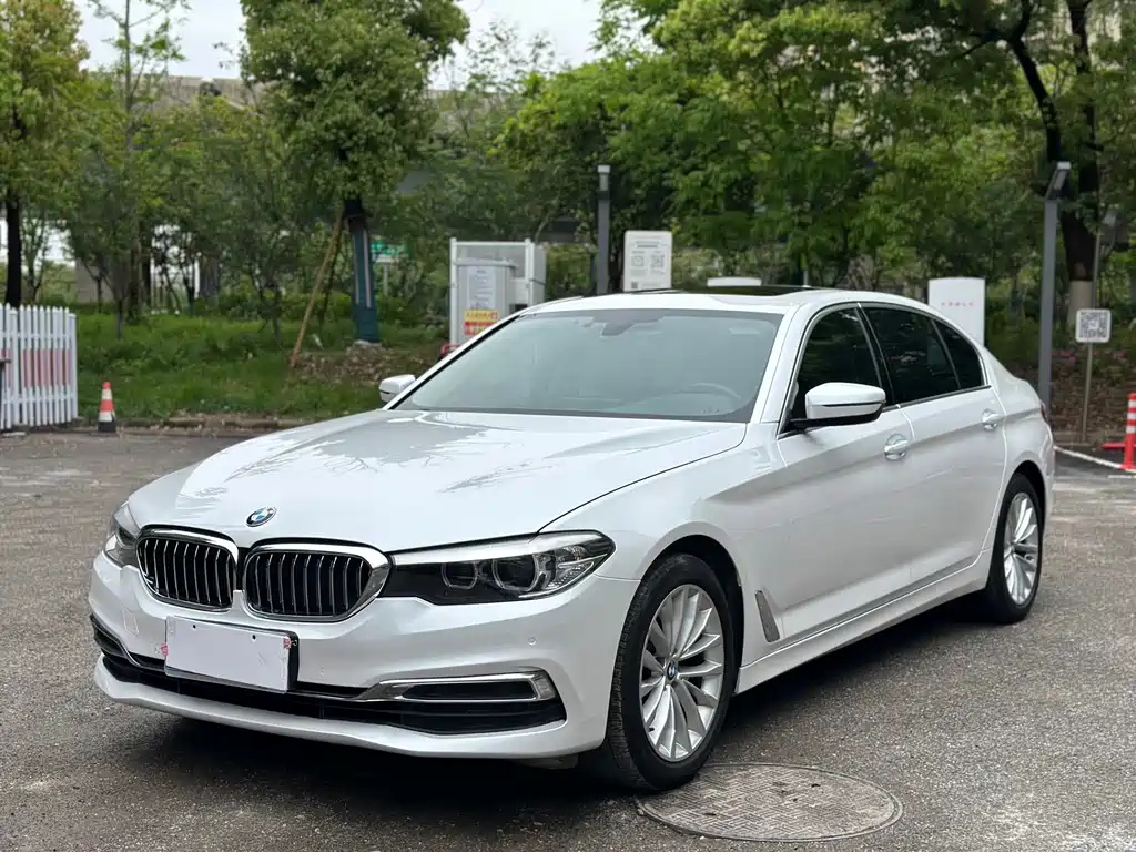 BMW 5 Series 2019