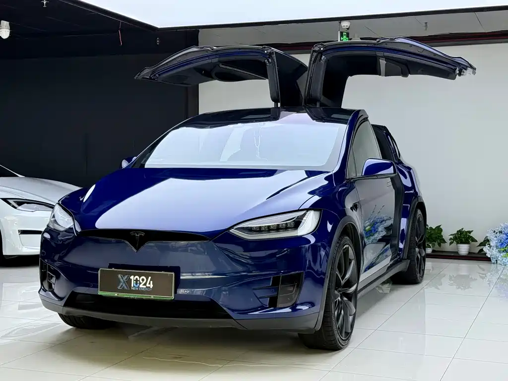 Tesla Model X 2019