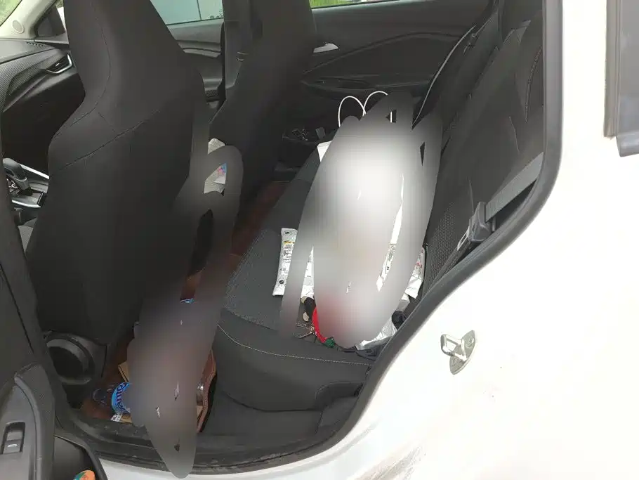 Chevrolet Cavalier 2020 — фото 11