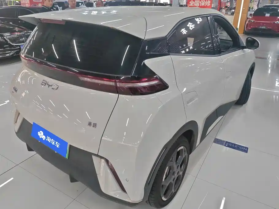BYD Seagull 2024
