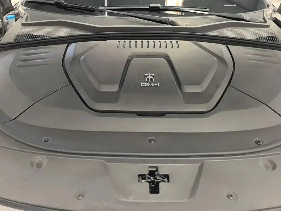 BYD PLUS New Energy 2023 — фото 10