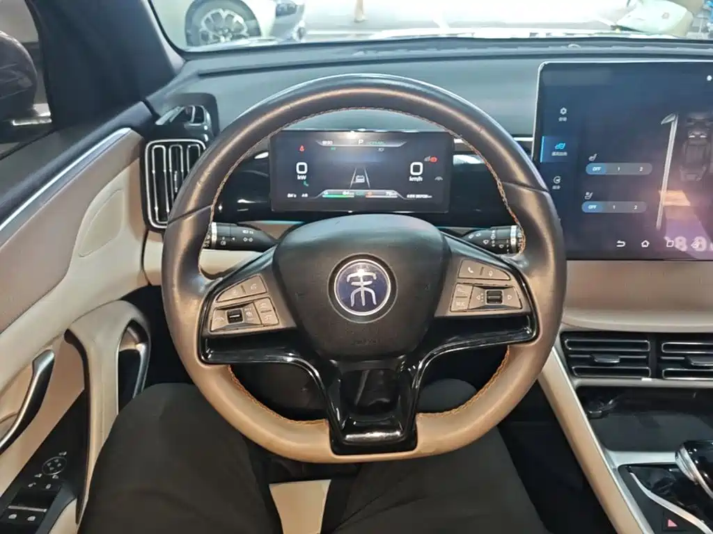 BYD Pro New Energy 2024 — фото 11