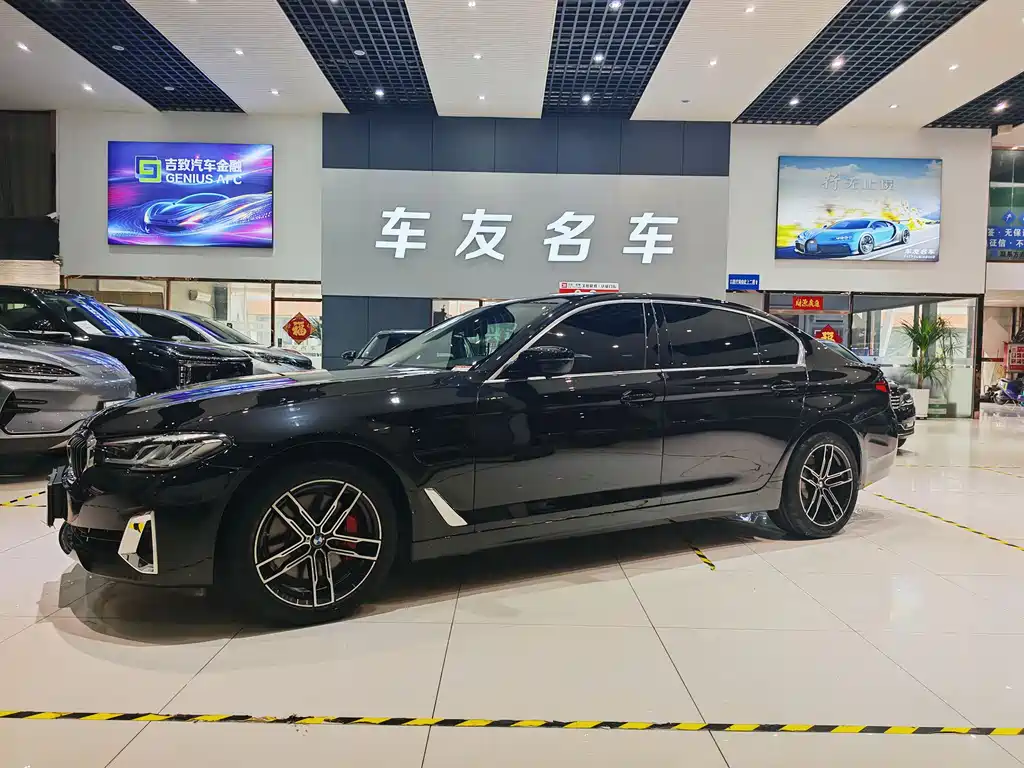 BMW 5 Series New Energy 2021