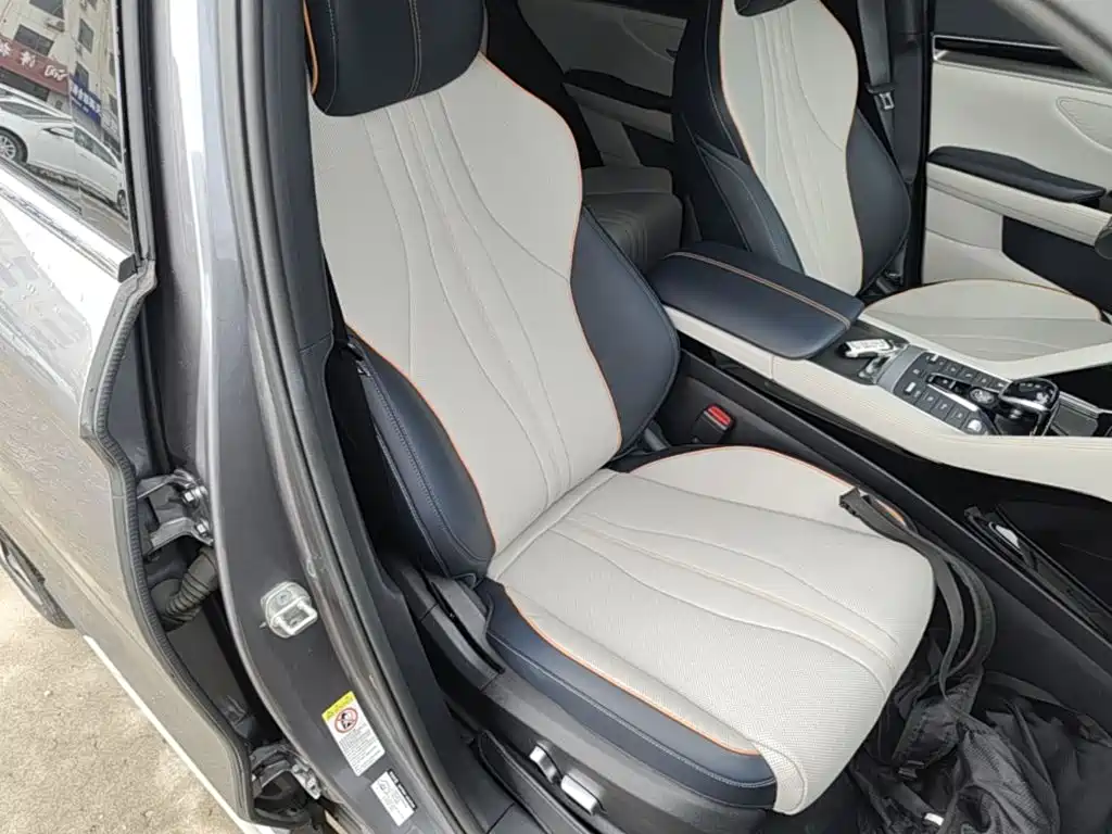 BYD PLUS New Energy 2022 — фото 25