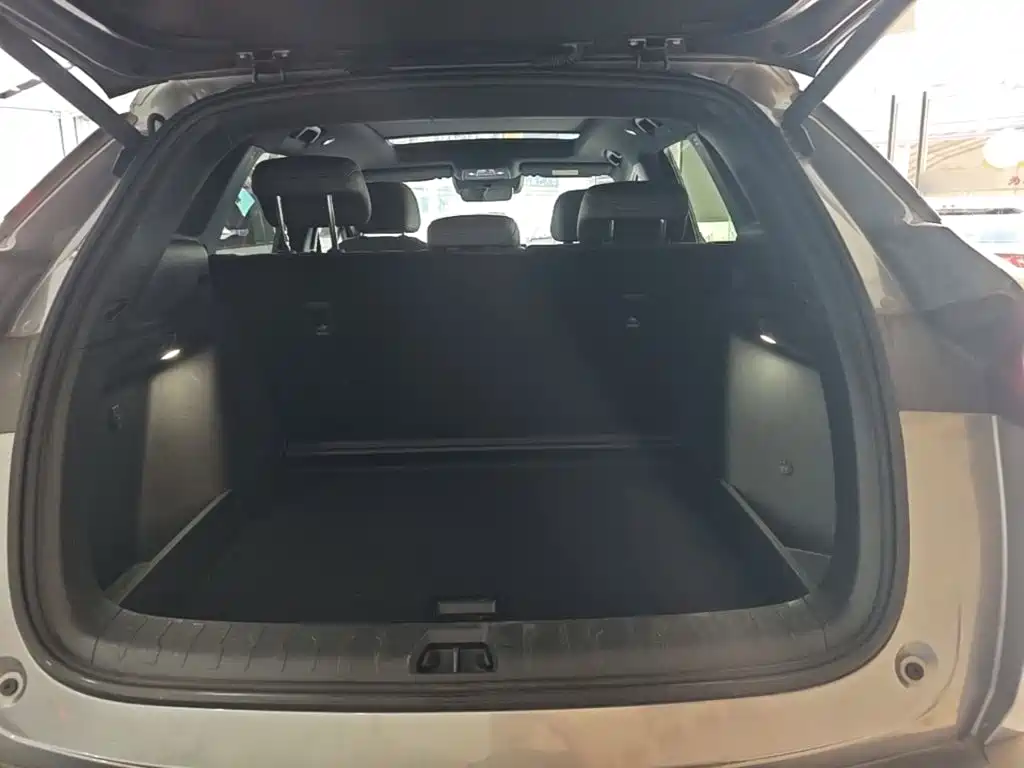 BYD Song L DM-i 2025 — фото 19