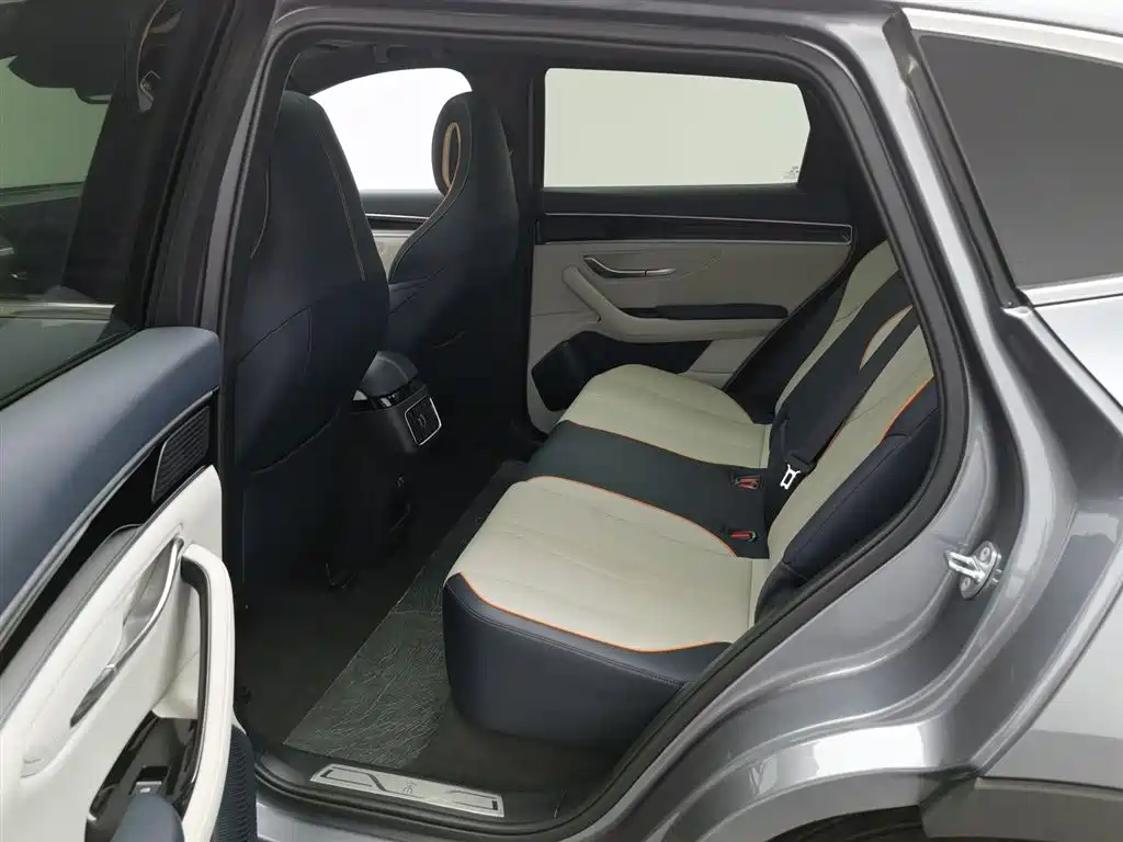 BYD PLUS New Energy 2023 — фото 15