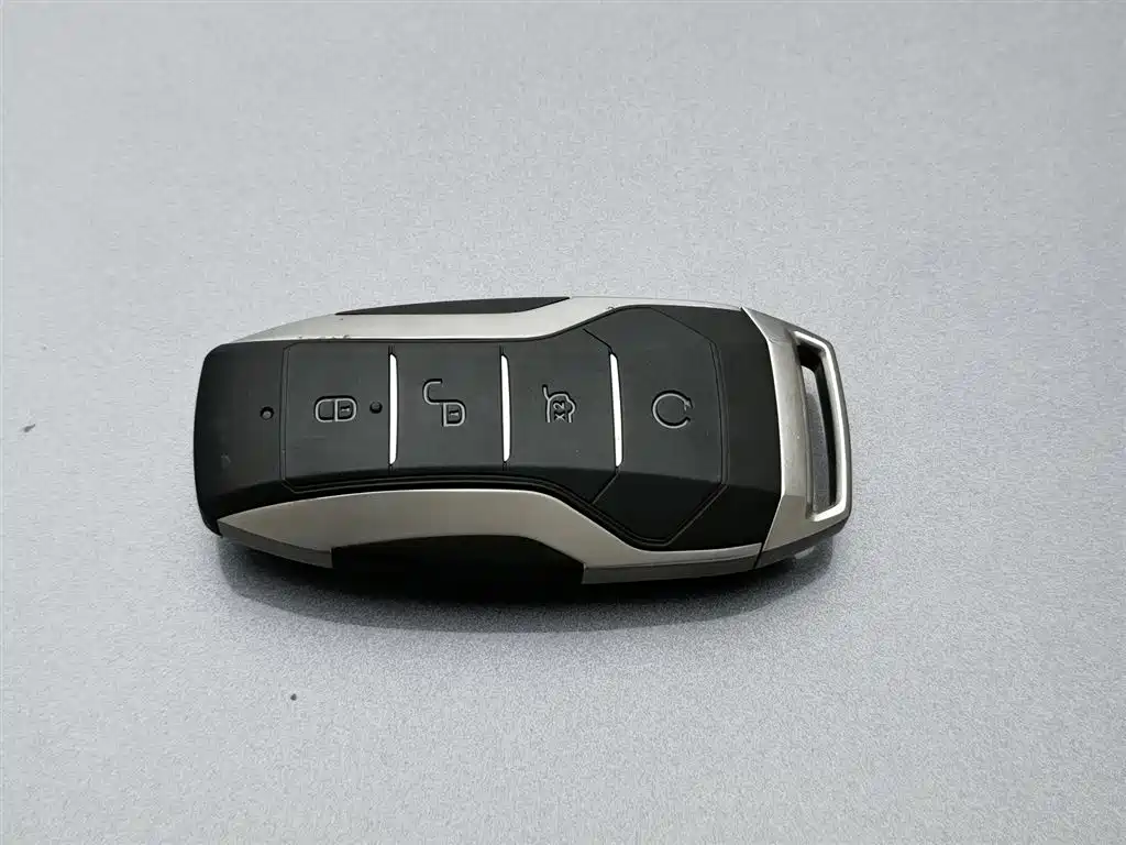 BYD PLUS New Energy 2023 — фото 19