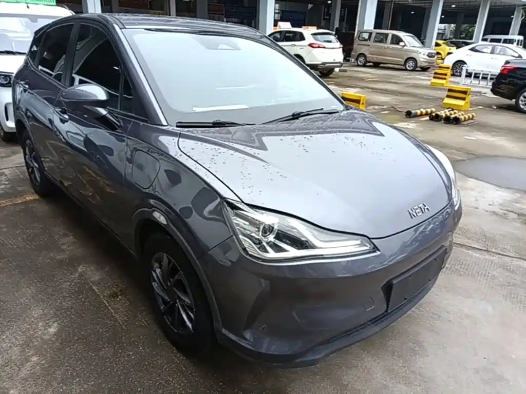 Neta V 2021