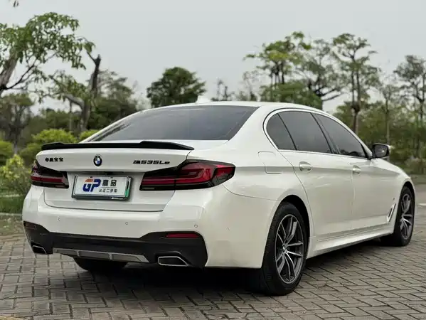 BMW 5 Series New Energy 2021