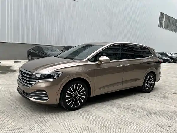 Volkswagen Viloran 2020