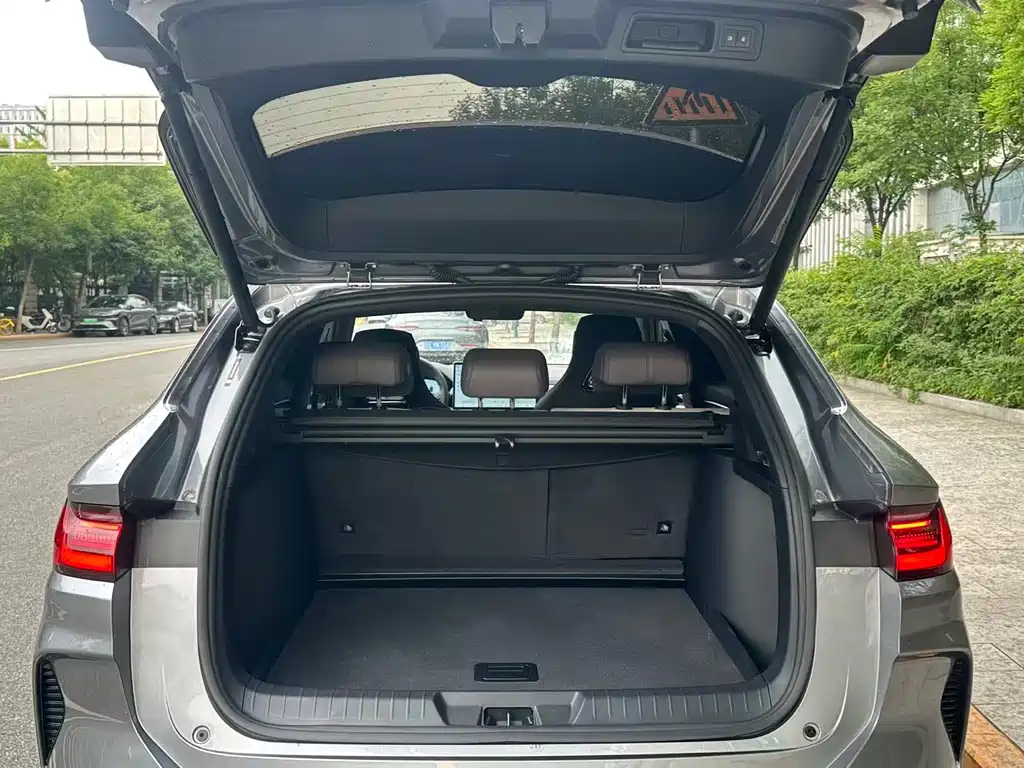BYD PLUS New Energy 2025 — фото 10