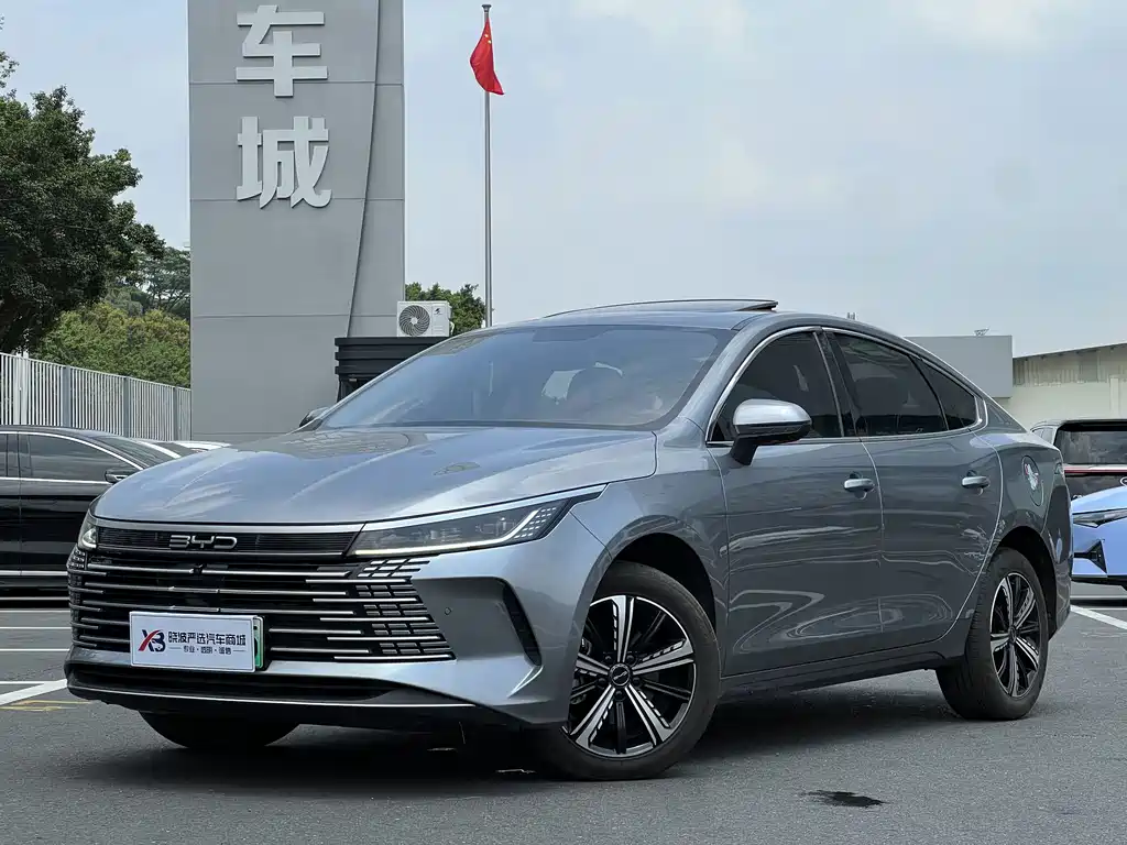 BYD Destroyer 05 2023 — фото 1