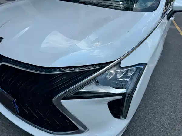 Dongfeng Popular Yacht 2023