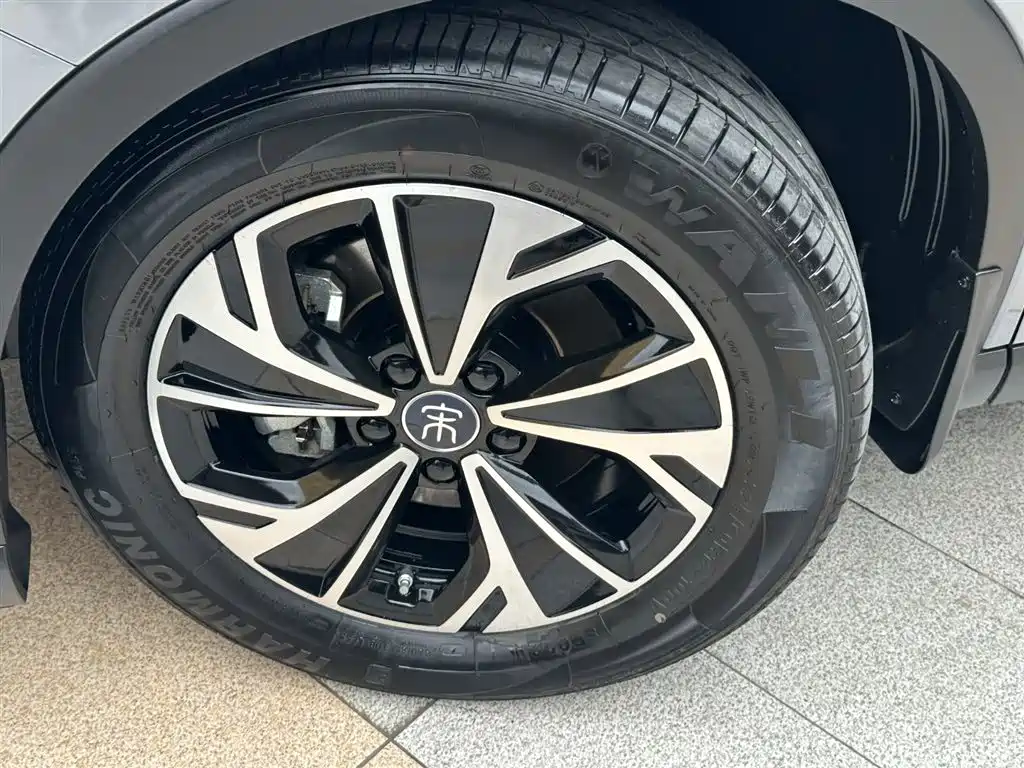 BYD Pro New Energy 2024 — фото 18