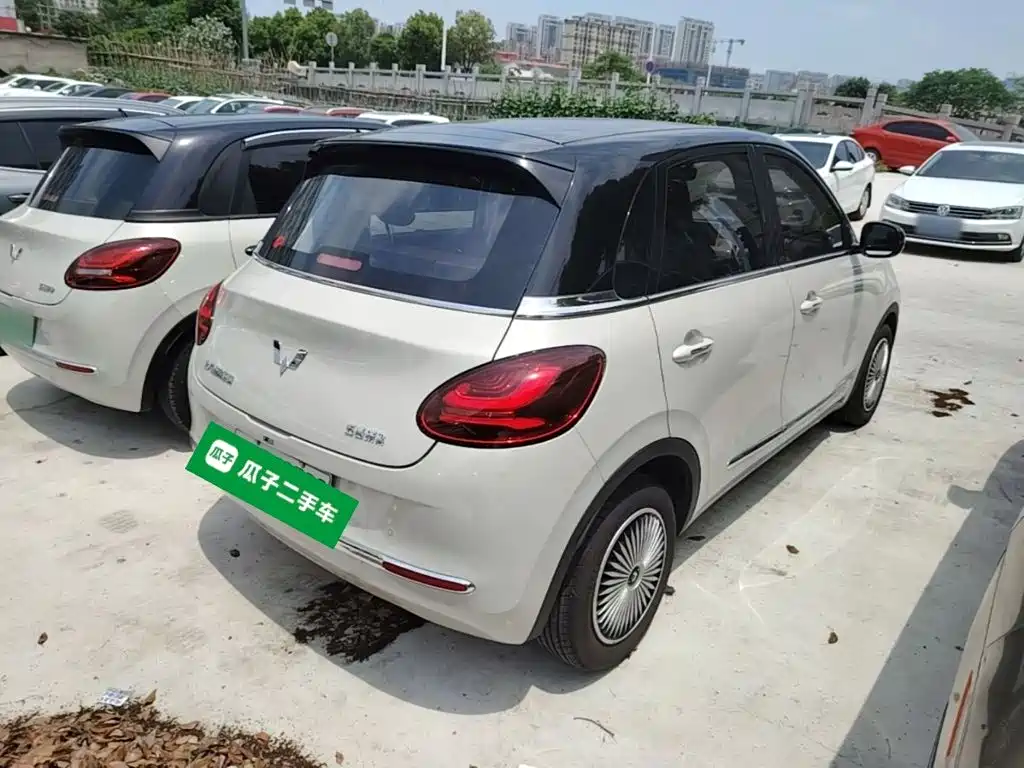 Wuling Bingo 2024