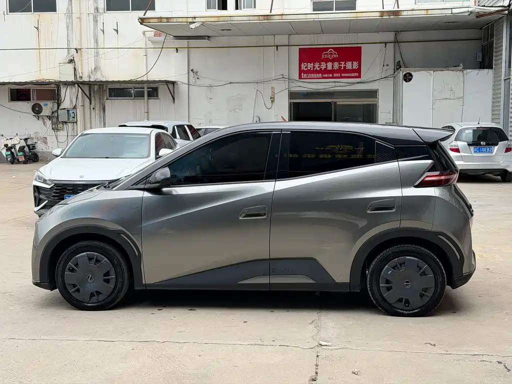 BYD Seagull 2024