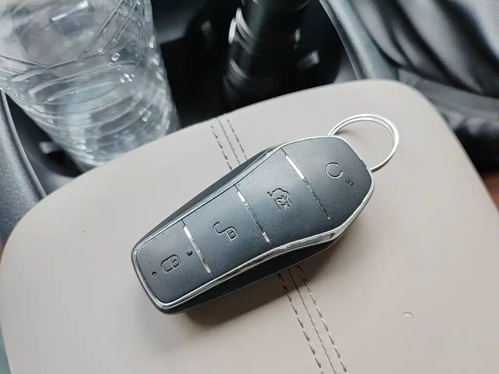 BYD Song Pro New Energy 2024 — фото 9
