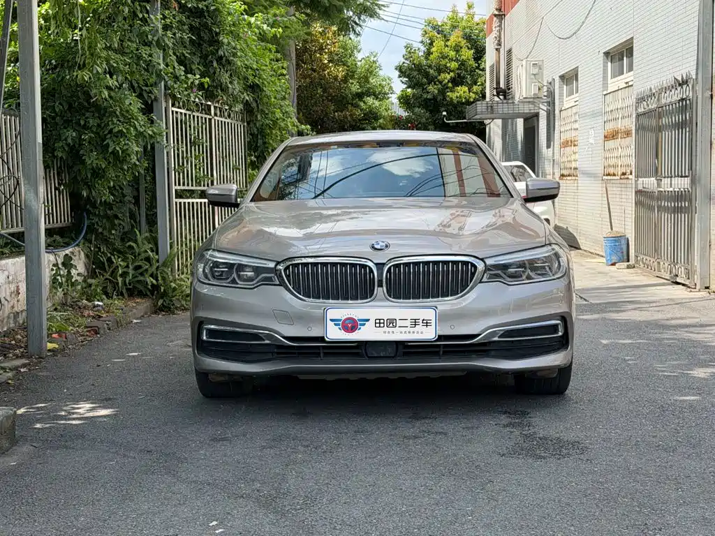 BMW 5 Series New Energy 2020