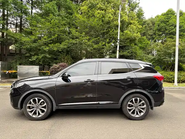 Wey VV6 2018