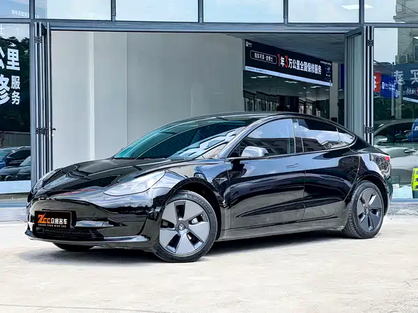 Tesla Model 3 2022