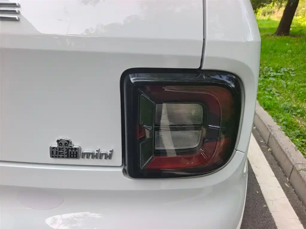 Galaxy Panda 2024